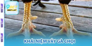 Khái niệm vảy gà chọi